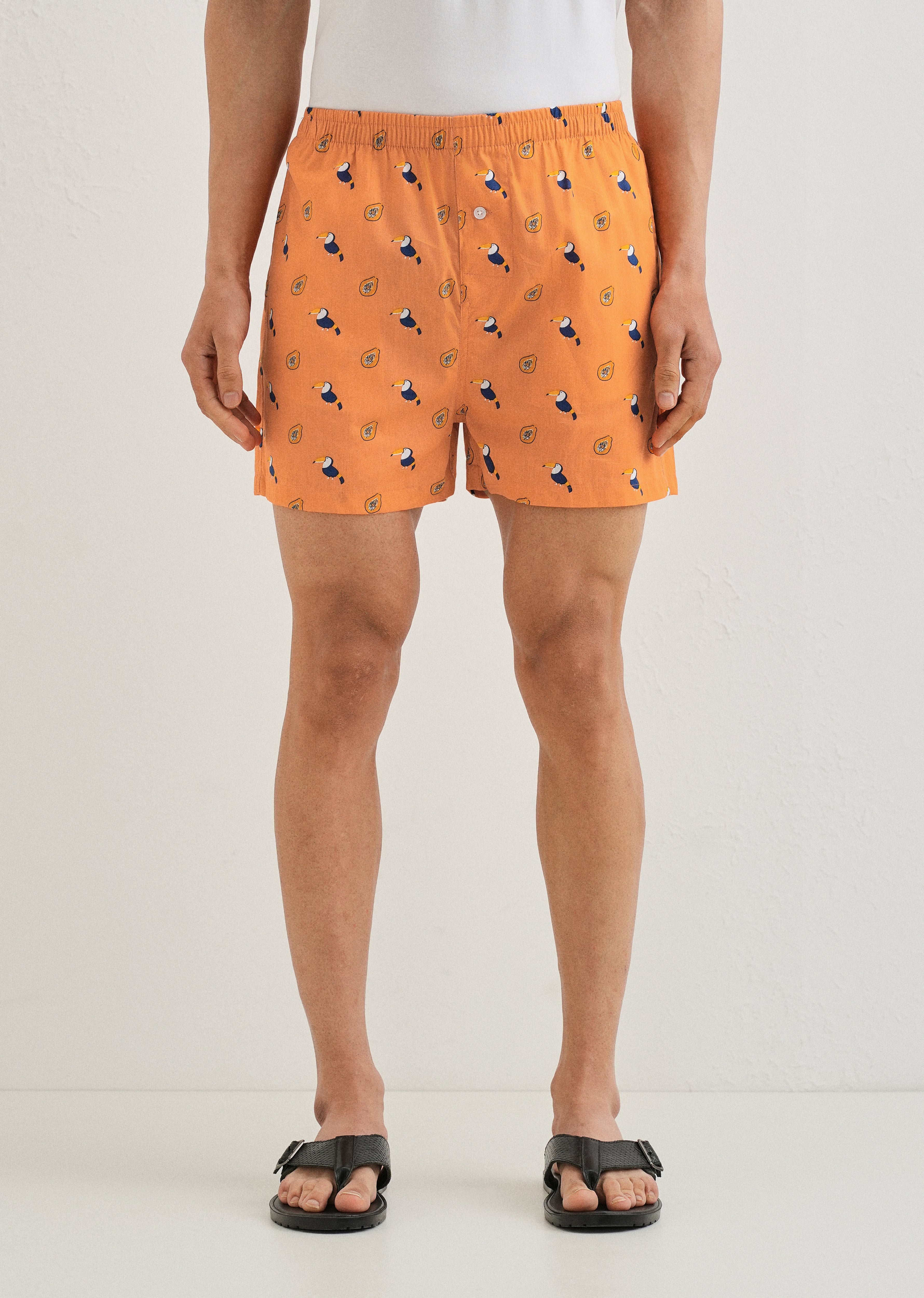 Orange Hornbill Printed Boxer