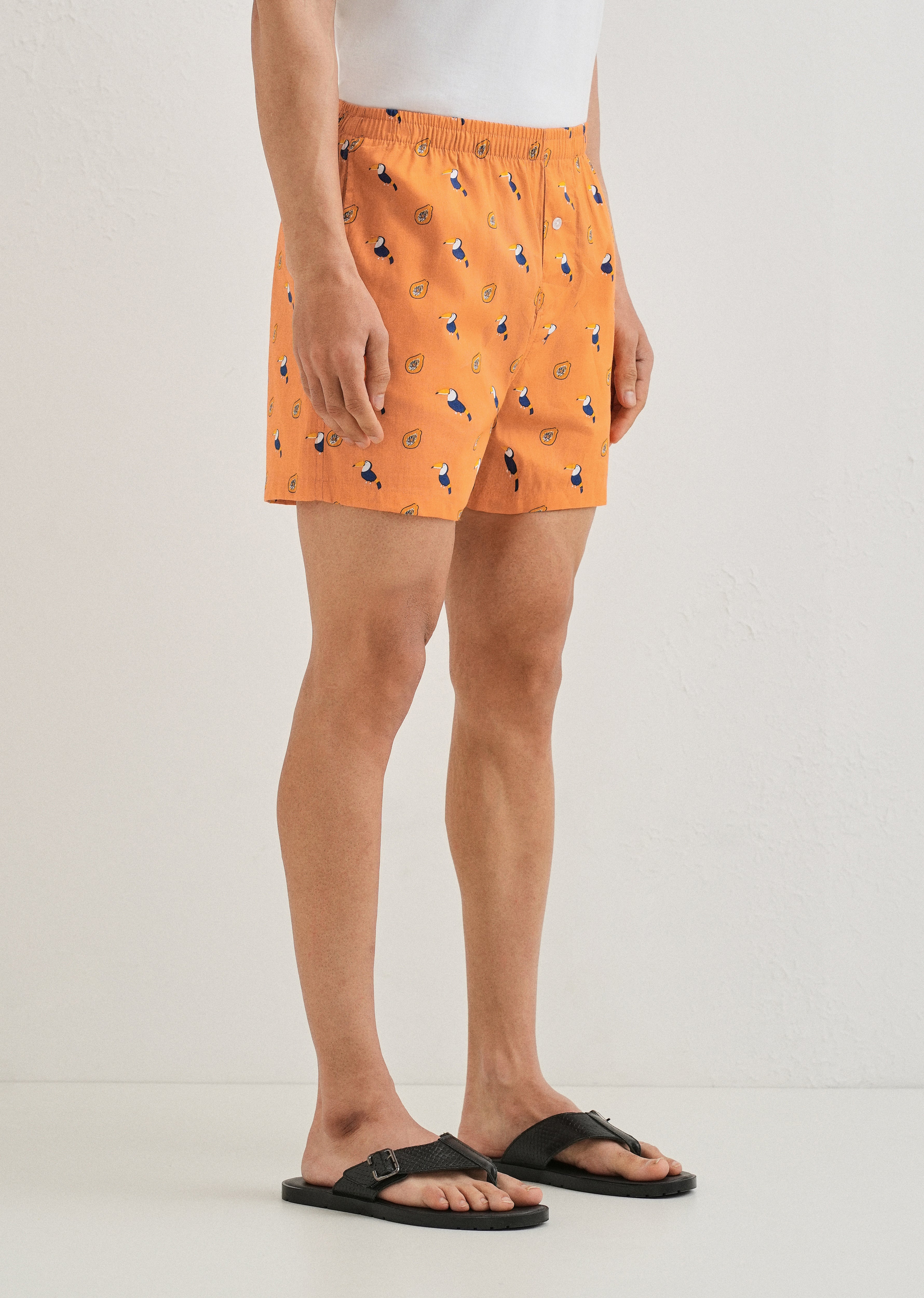 Orange Hornbill Printed Boxer