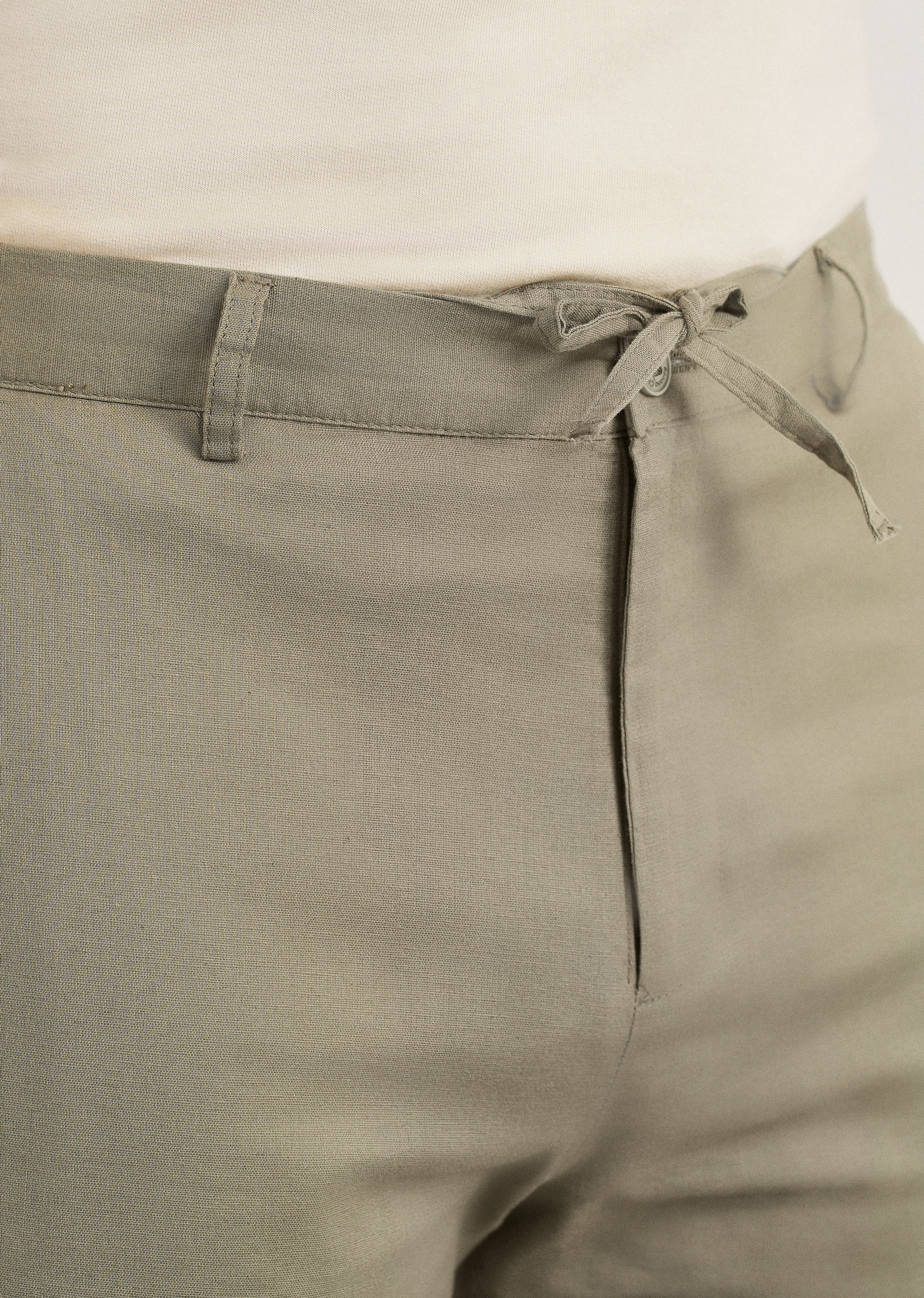 Sage Cotton Linen Regular Fit Pant