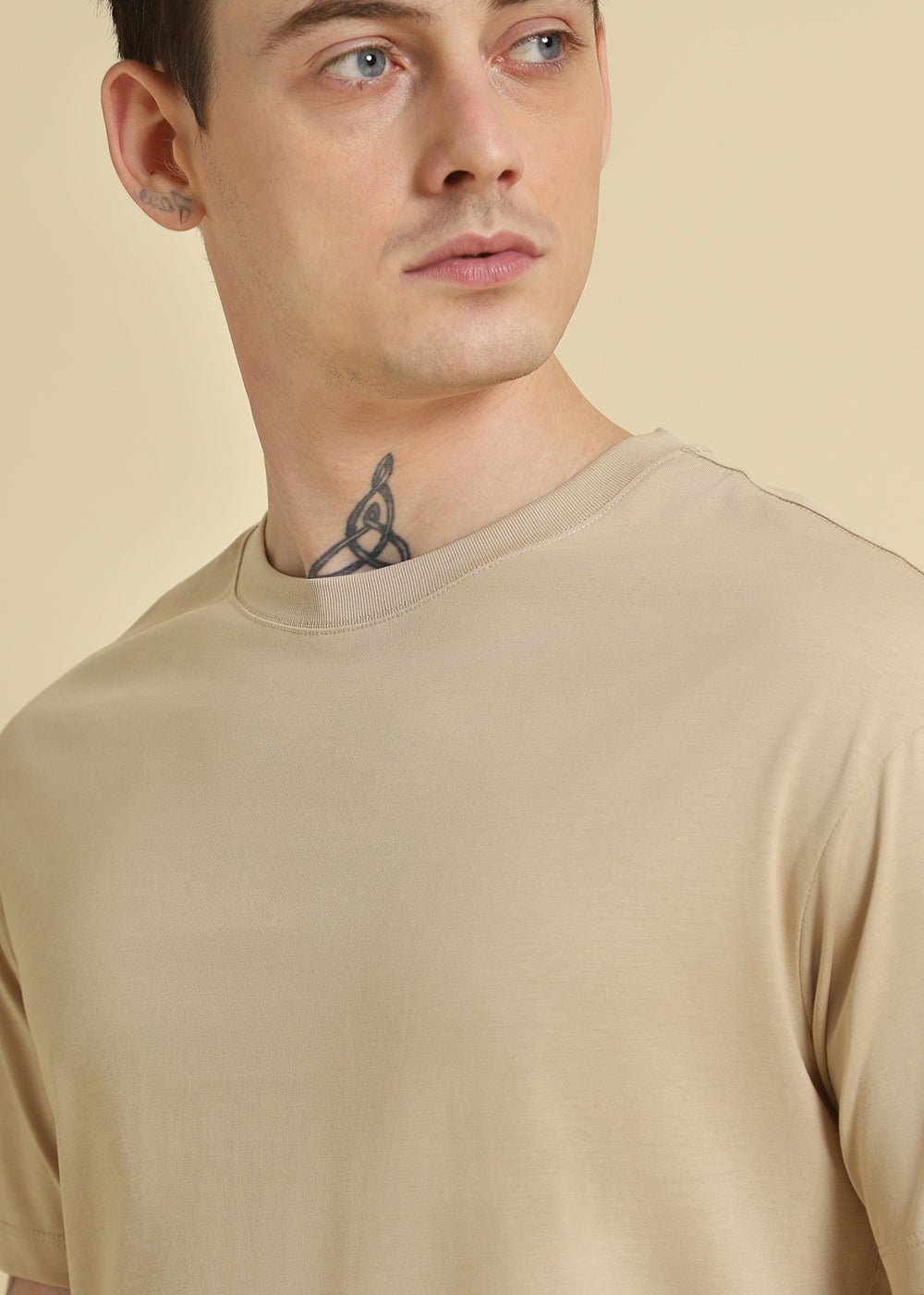 Beige Basic Regular Fit T-shirt