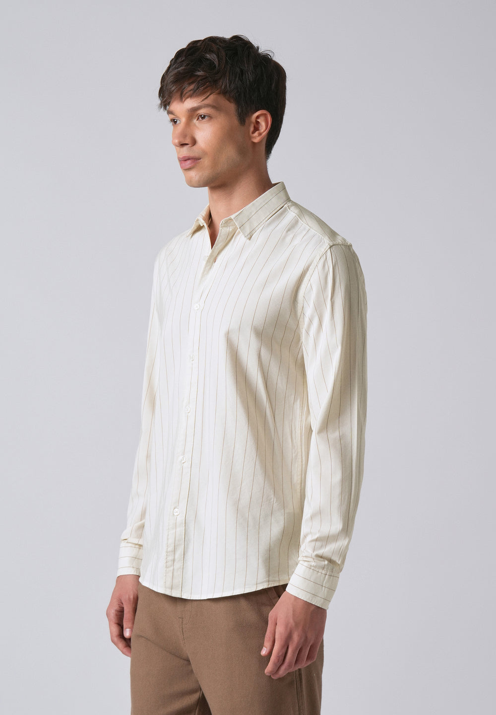 Light Cream Collar Embroidery Stripe Shirt