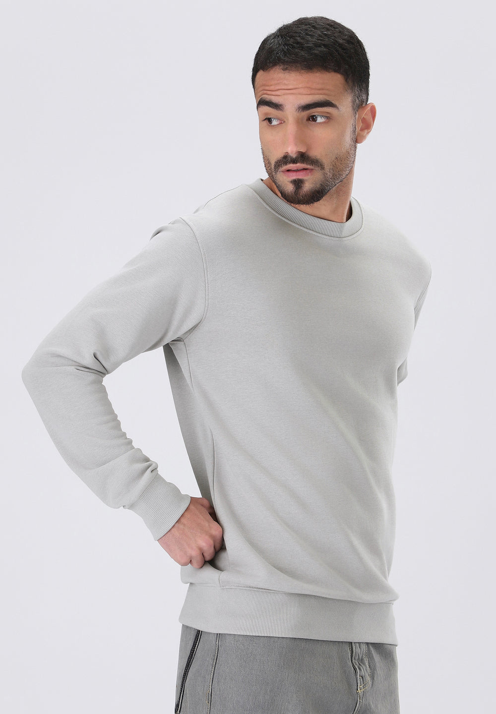 Light Grey Sweatshirt