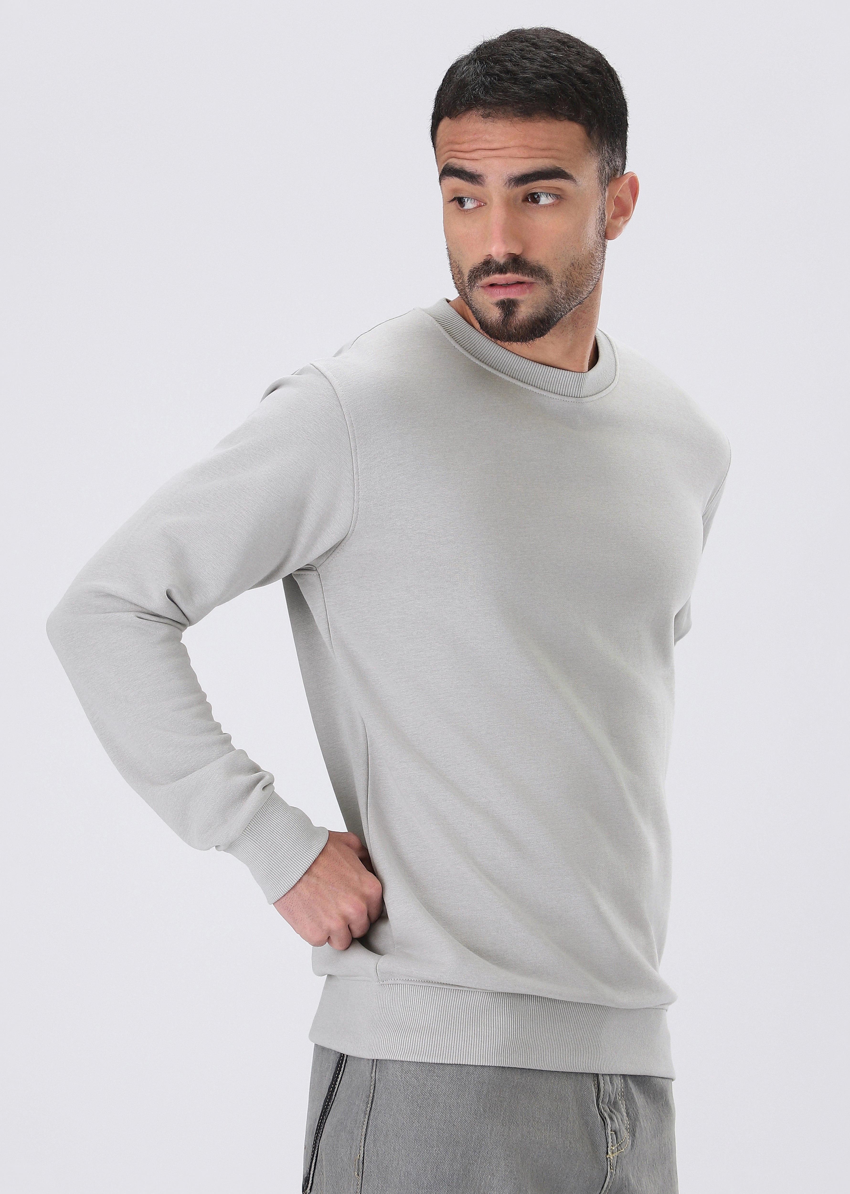 Light Grey Sweatshirt