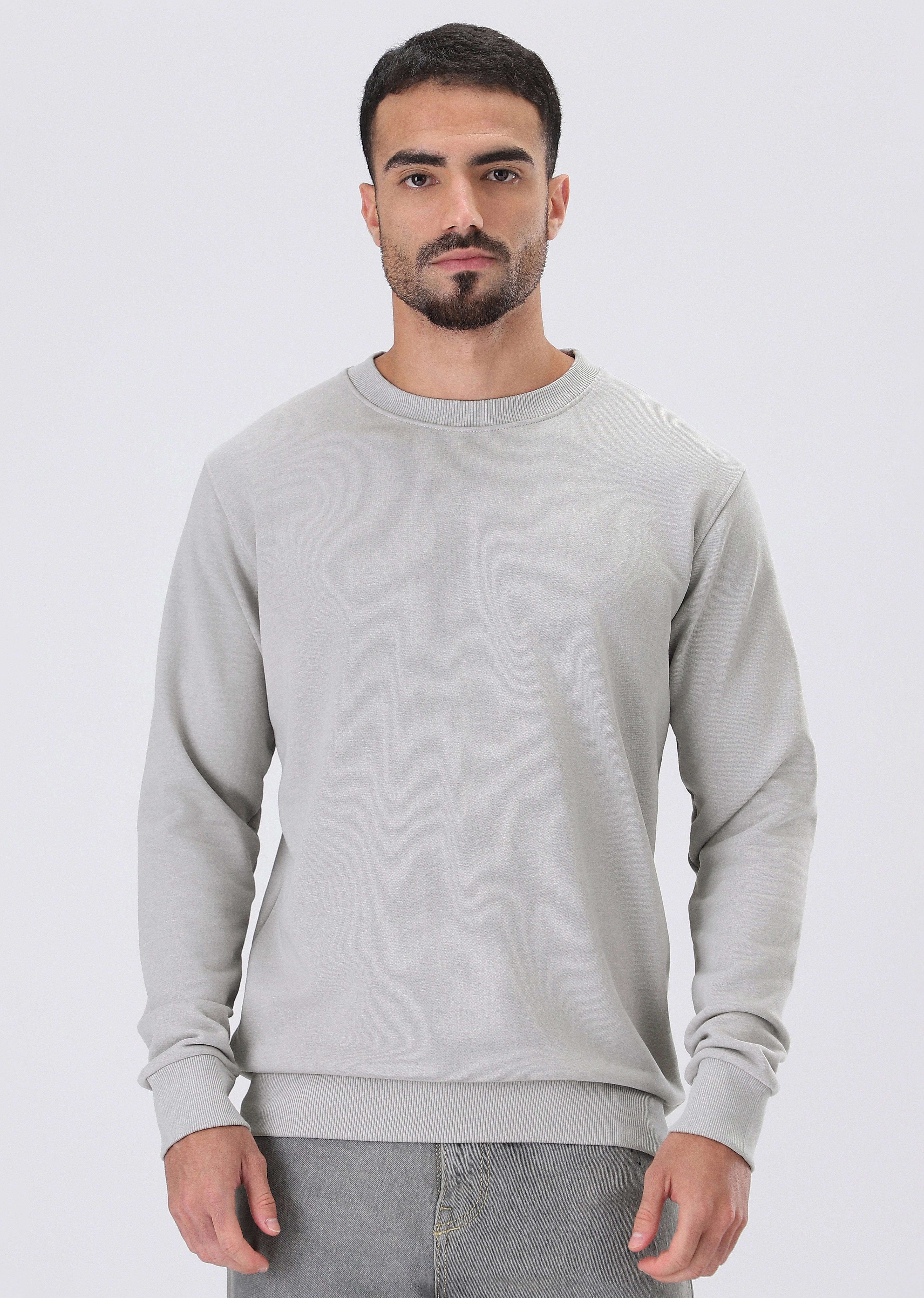 Light Grey Sweatshirt