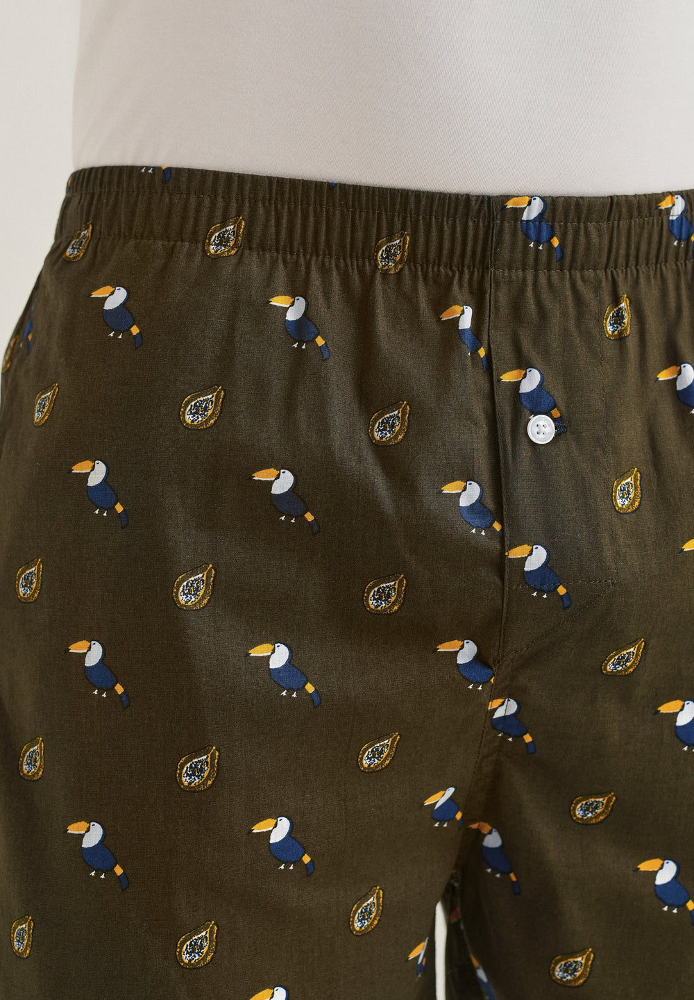 Olive Hornbill Printed Boxer